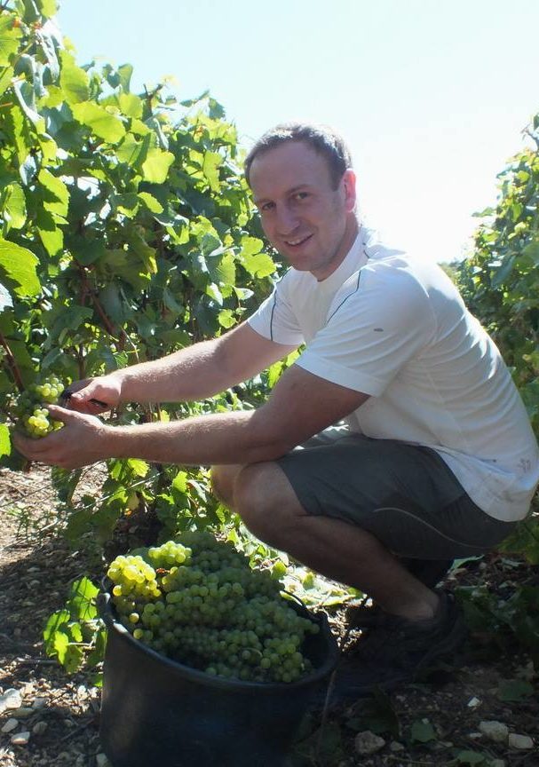 Champagne Jean Jacques Lamoureux - Vivien dans les vignes